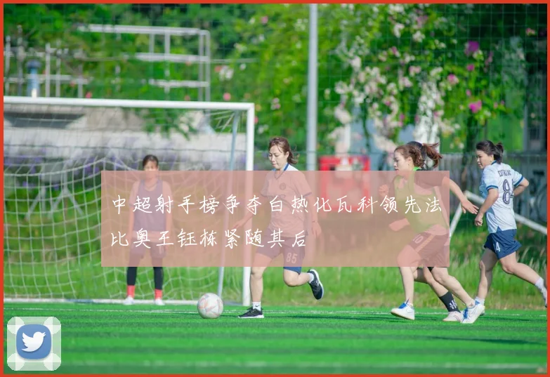 中超射手榜争夺白热化瓦科领先法比奥王钰栋紧随其后