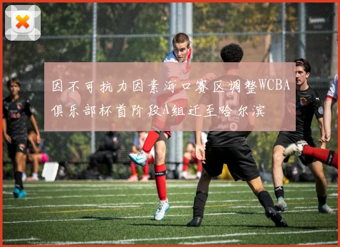 因不可抗力因素海口赛区调整WCBA俱乐部杯首阶段A组迁至哈尔滨