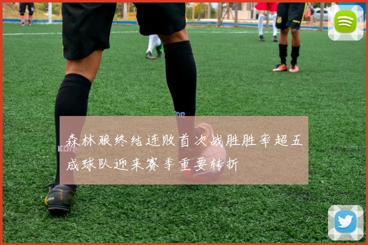 森林狼终结连败首次战胜胜率超五成球队迎来赛季重要转折