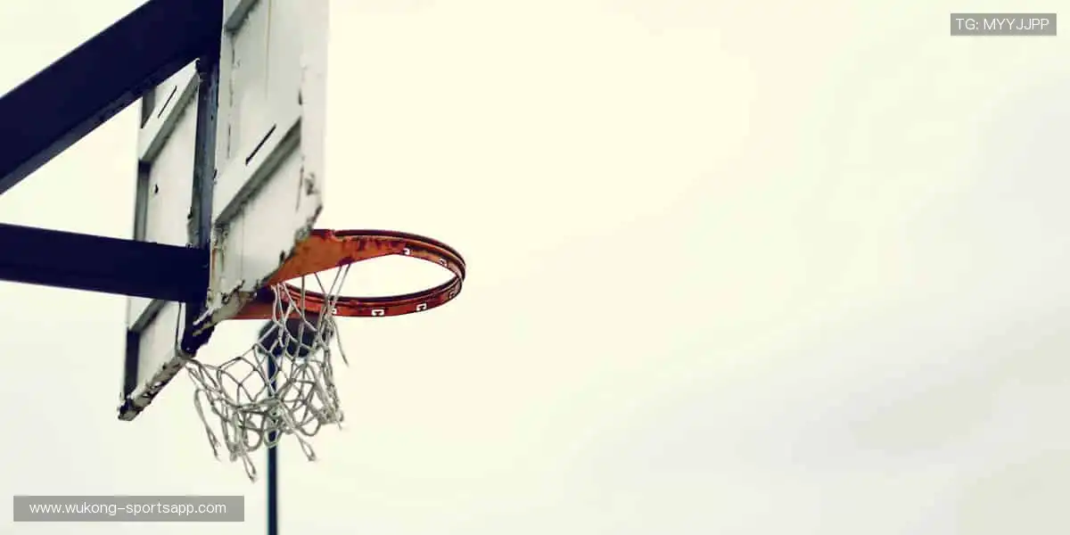 🏆巅峰对决,见证冠军诞生的荣耀瞬间!🏅